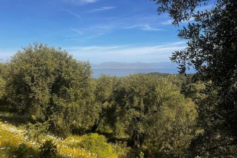 Land and view