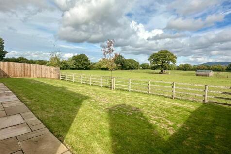 WhatsApp Image 2025-09-09 at 11.49.24_93c5cd23.jpg