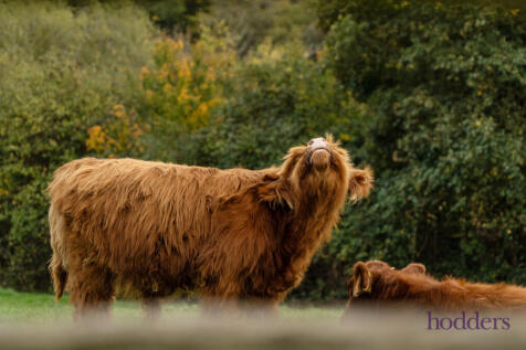 7fce41f4-b161-4c7...