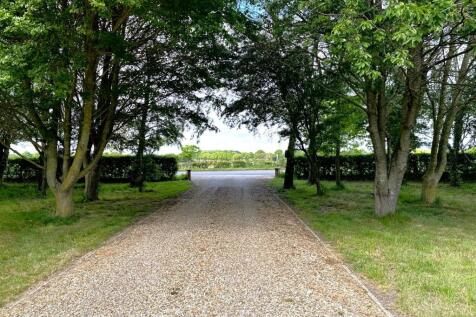Tree-Lined Entrance 733