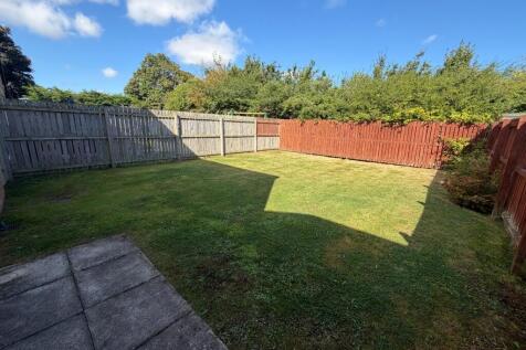 Back Garden