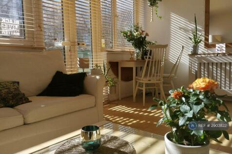 Sunny Living Room