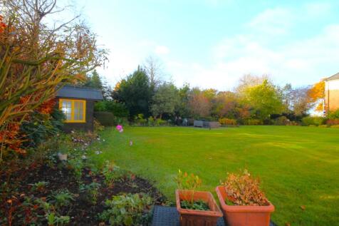 IMG 9629 T202511241457.jpg