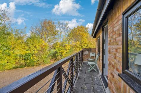 DSC06504-ec4077ae39936854a0721af76e20fe39 - 800px.