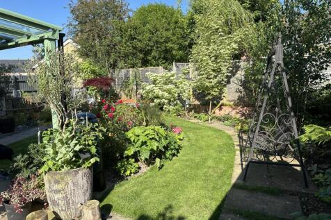 Garden in the Summer