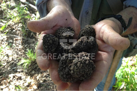 Panorama e Particolari