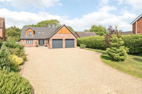 1294613-6-682ba88299492-ARW