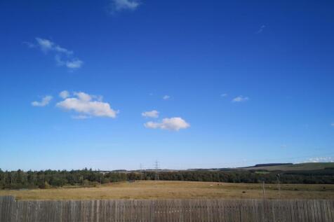 IMG_20250925_105851.jpg
