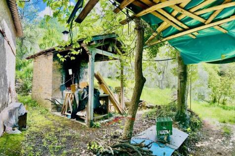 Block E or Wood Oven