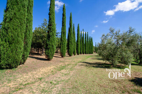 poggio alle talpe -2