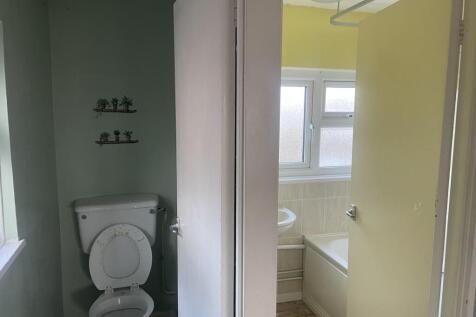 IMG 5769 T202601151139.jpeg