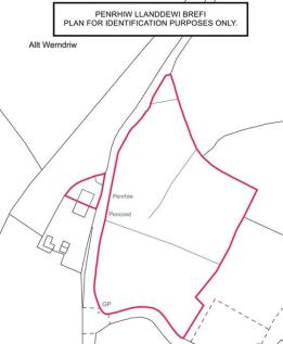 PENRHIW LLANDDEWI BREFI PLAN.jpg