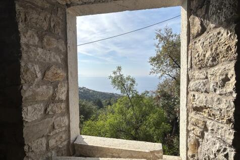 Window view