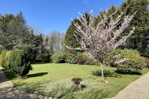 Front garden (2).JPEG