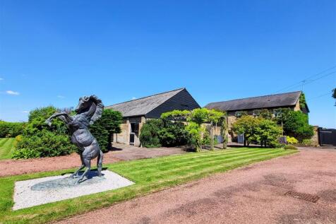 20240625_144250-EDIT (1).jpg