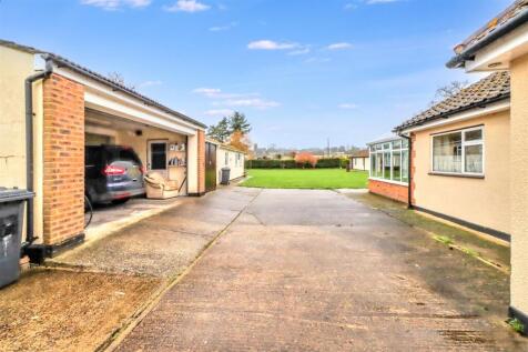 CARPE DIEM GARDEN SHOTS-3.jpg