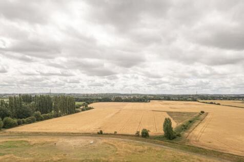 Surrounding views