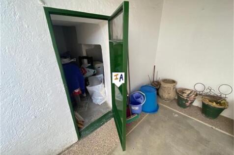 Image 12