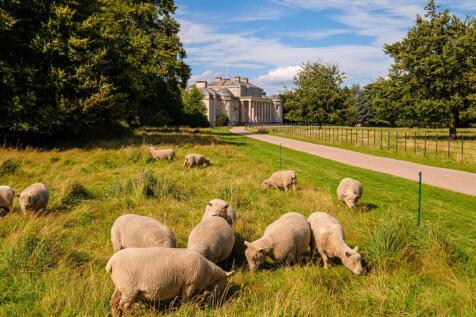 Beautiful grounds of Shrugborough Hall
