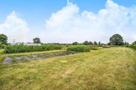 paddocks available by separate negotiation.jpg