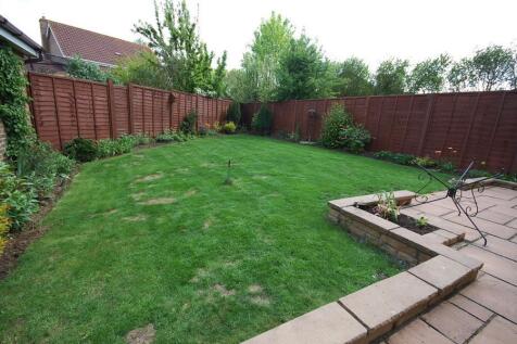 Garden.JPG
