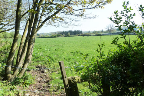 View from garden