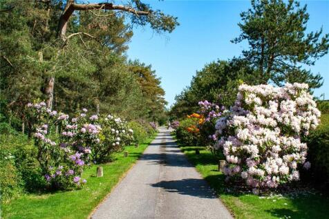 Logie House Driveway