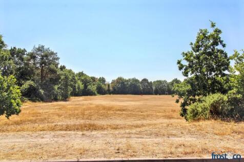 Field Across the Road