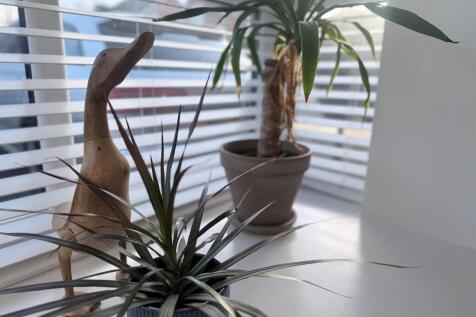 WhatsApp Image 2025-12-11 at 13.04.35 (1).jpeg