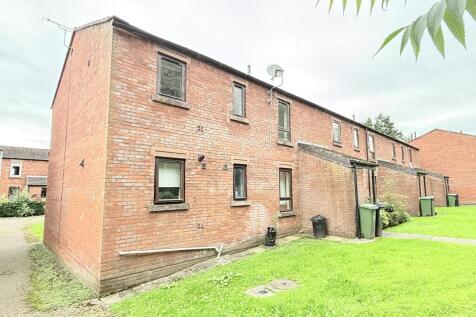 IMG 5205 T202609241608.jpg