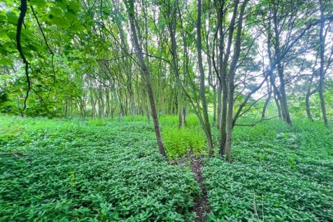 Land for sale Image 7