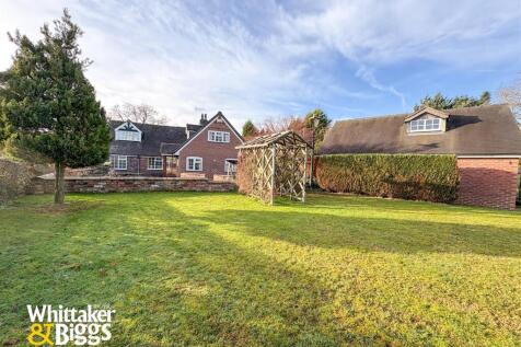 20251211_111456897_iOS 1.jpg