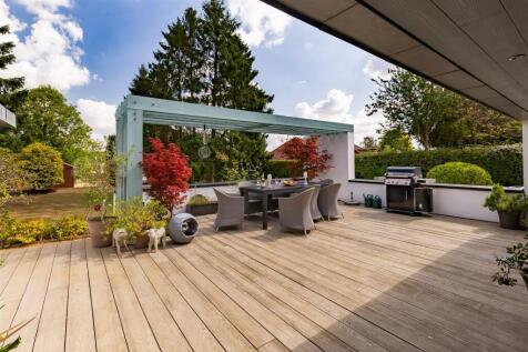 Morning sun (30).jpg