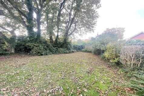 Ferndown photo 4