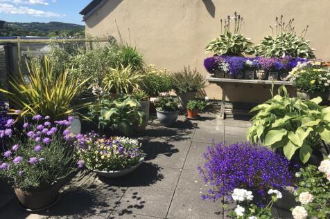 Private roof terrace (vendors own photo)