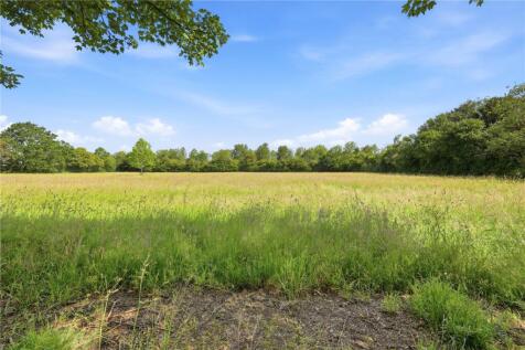 Meadow
