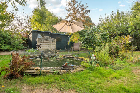 Garden &amp; Pond