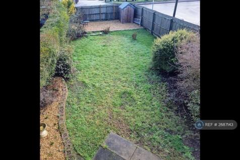 Back Garden