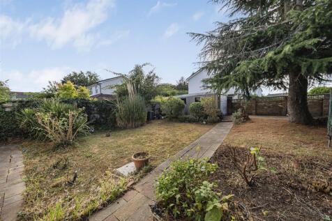 Photo Aug 05 2025, 8 52 36 AM.jpg