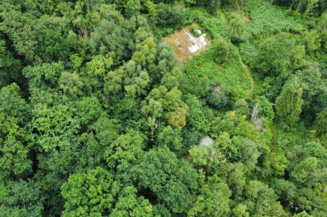 dji_fly_20250718_145842_420_1753872848320_photo_op