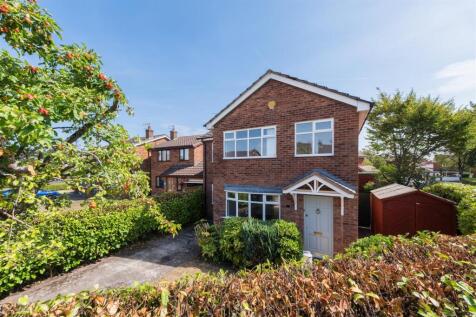 2 Verdin Close-034.jpg