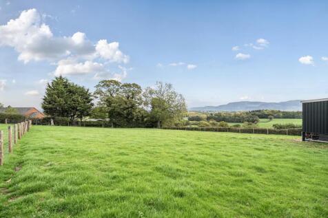Paddock behind outbuildings.jpg