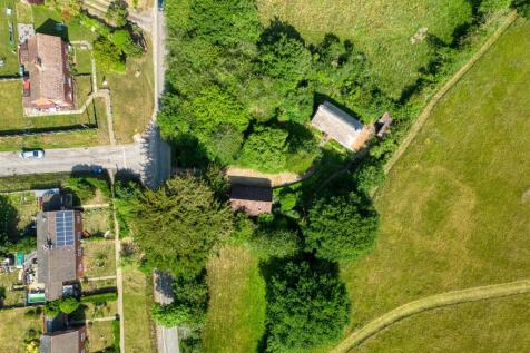 Apple Trees (12).jpg