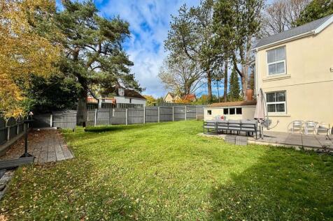 20251027_135411000_iOS 1.jpg