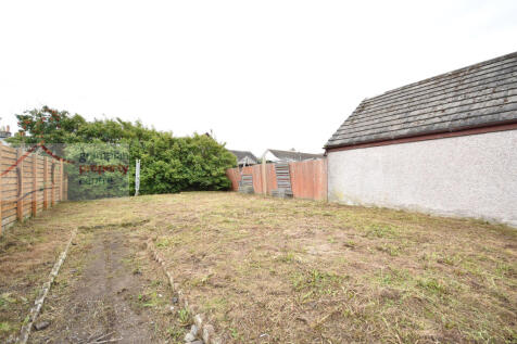 garden 3.JPG