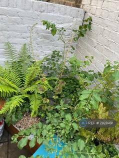 Planter 2