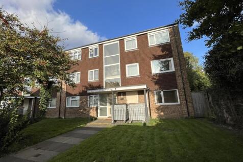 IMG_8917.jpeg