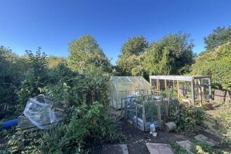 Garden 4