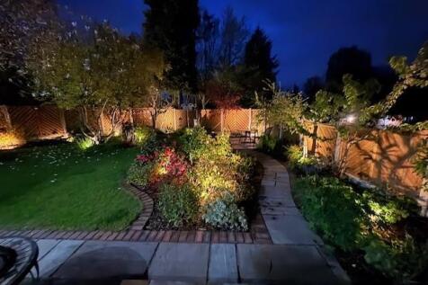Rear at night