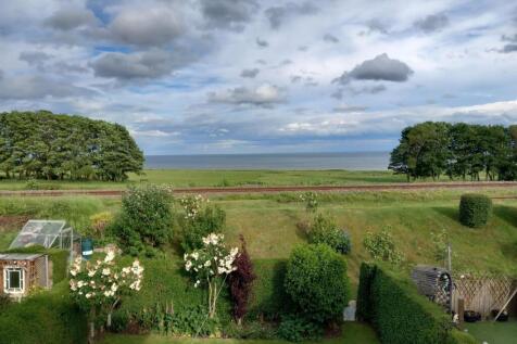 Garden: